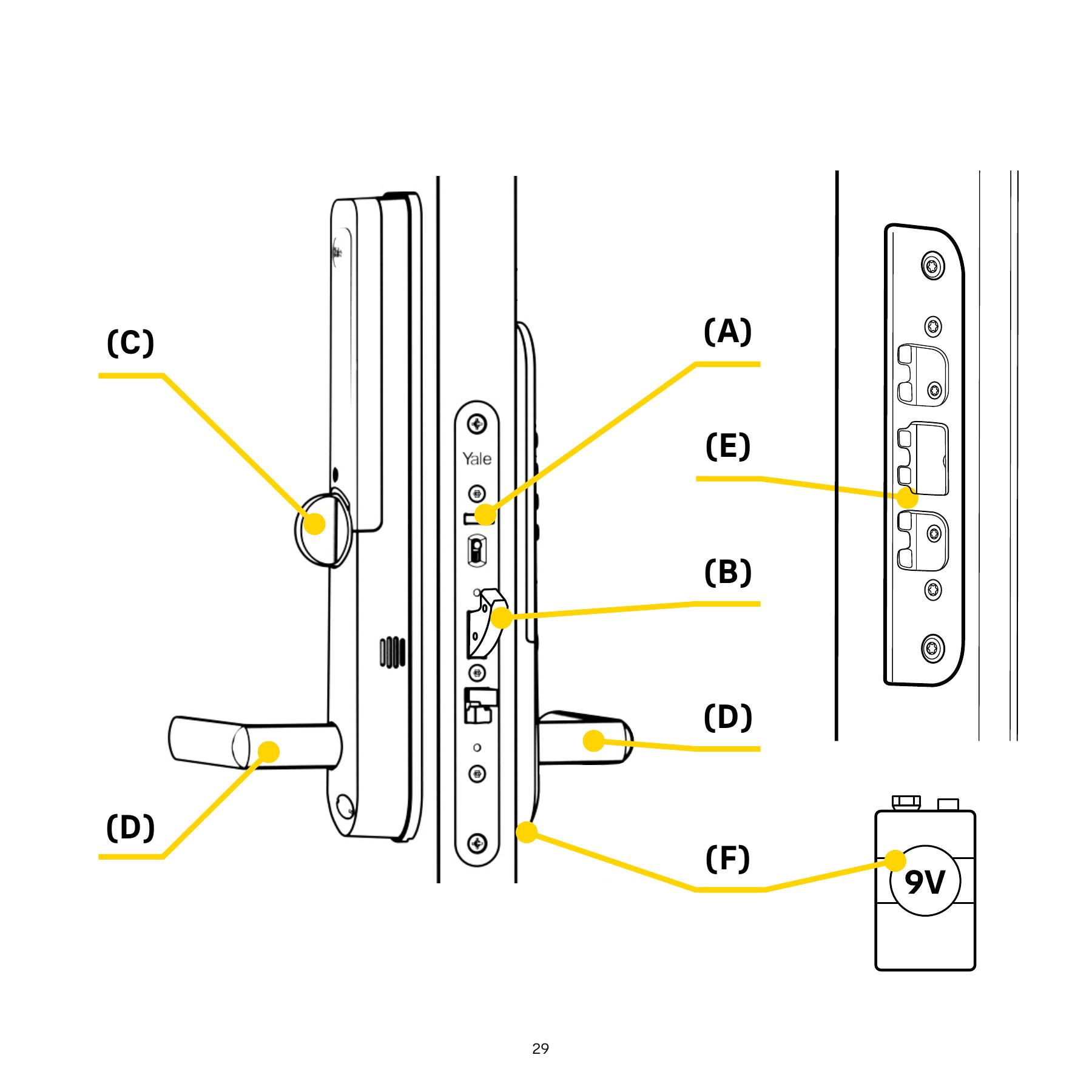 Find the parts of the function test – original drawing from Yale